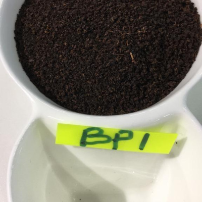 BP1